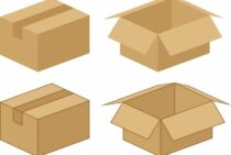 シロアリはダンボールも食べる！？苦手なものや強い木材はあるの？