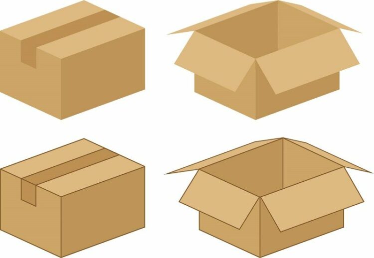 シロアリはダンボールも食べる！？苦手なものや強い木材はあるの？