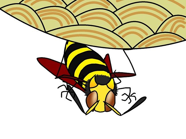 キラービーよりもスズメバチの方が凶暴？