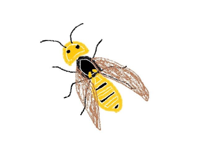 活動周期をいかした駆除方法は？