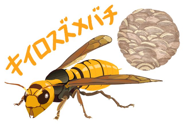 生態から見たスズメバチ対策