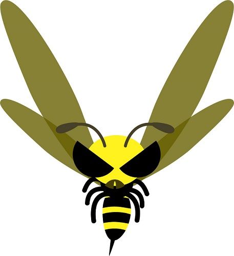 スズメバチの活動時期