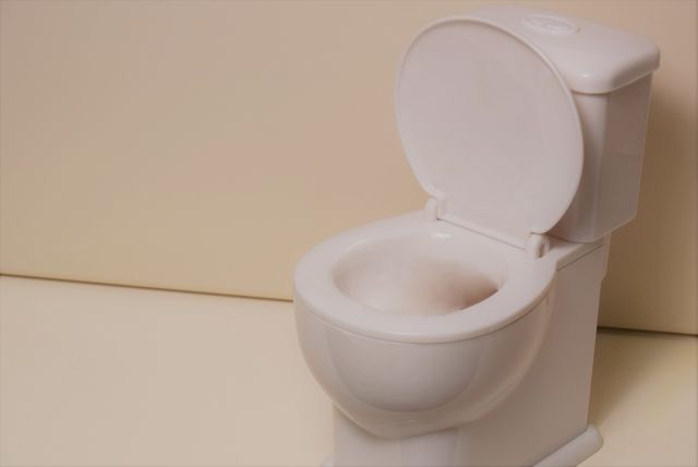 トイレに発生した虫を駆除する方法