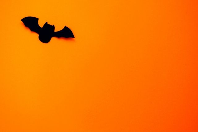 コウモリの目にはどんな特徴がある?夜行性と昼行性の違いと被害対策