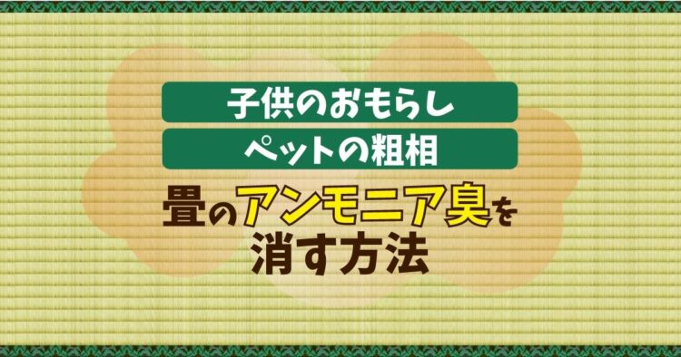 畳のアンモニア臭はとれるの?素材上、自分でできるのか?解説します