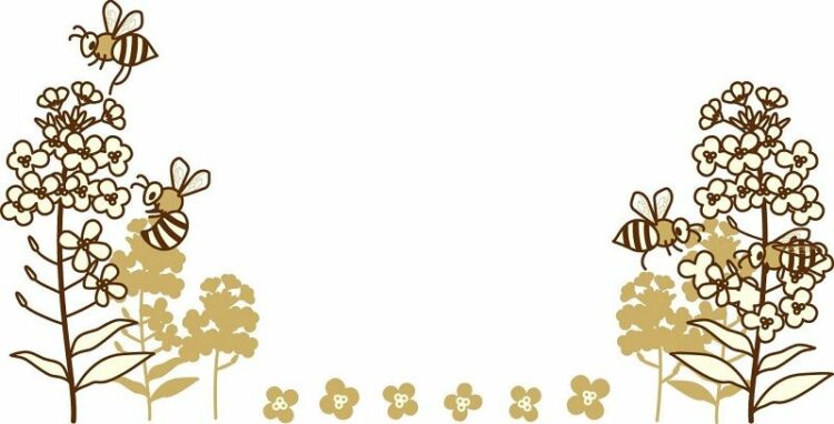 オオハキリバチの変わった巣作りが家に被害が出す！駆除の方法