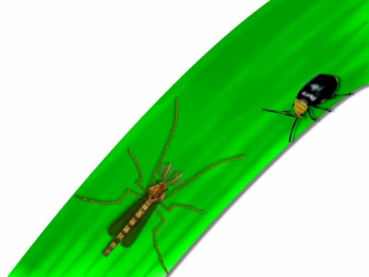 ユスリカの生態