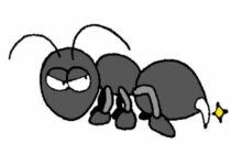 アリが刺す！？毒針を持つオオハリアリについてご紹介します