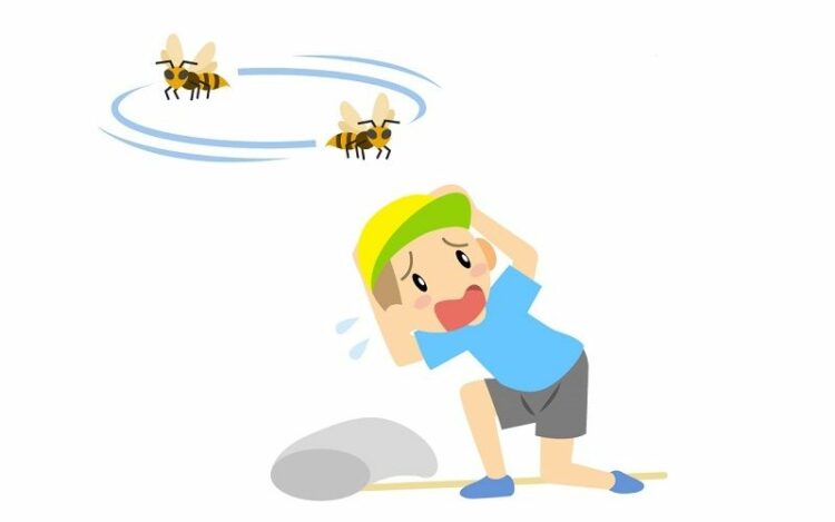 蜂に悩む人必見!蜂が寄ってくる原因にはいったい何があるのか