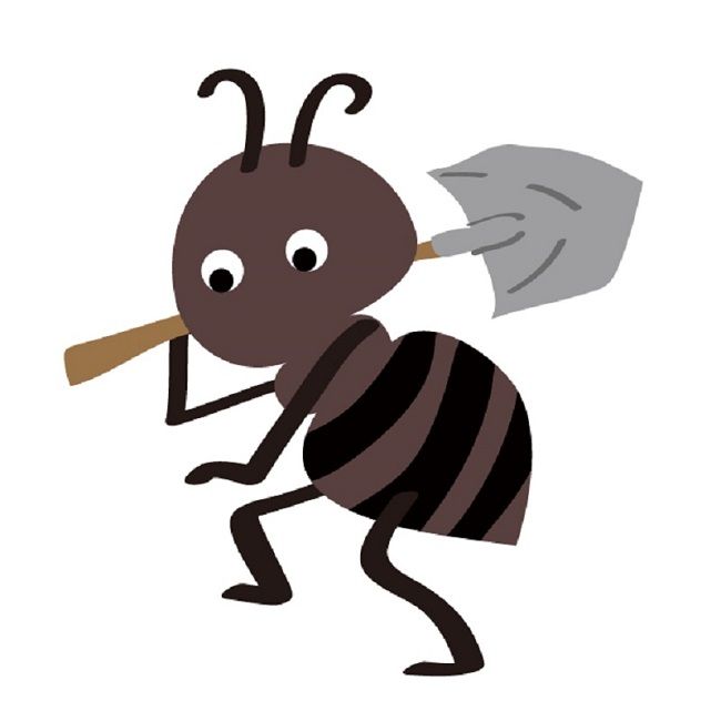 蟻は子育てをする昆虫です