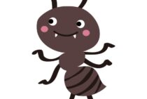 日本に生息する蟻の種類。最もよく見るあの蟻から特徴的な蟻まで