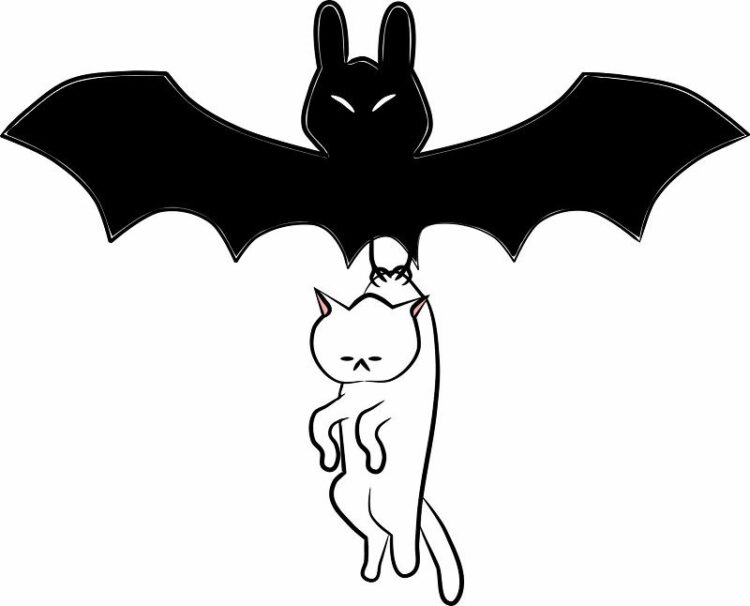最近コウモリを見かけるようになったけどコウモリの天敵っているの?