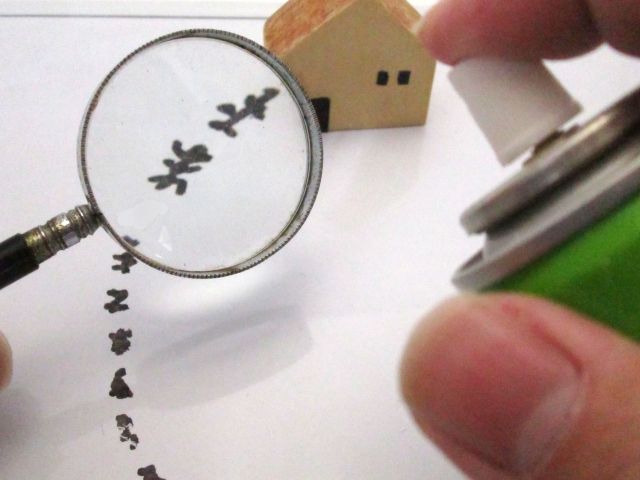 駆除方法は共通!アリの駆除方法
