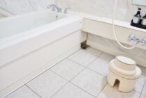 お風呂場のアリはシロアリだけじゃない！風呂場のクロアリの種類