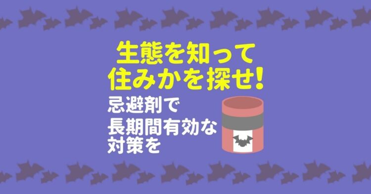 コウモリ対策には忌避剤が最適!自分で退治するときの注意点とは