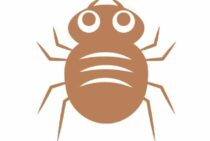 家にいるダニのほとんどはチリダニ？その生態と対策方法をご紹介