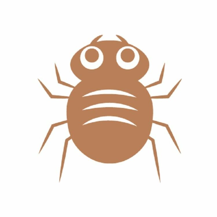 家にいるダニのほとんどはチリダニ？その生態と対策方法をご紹介