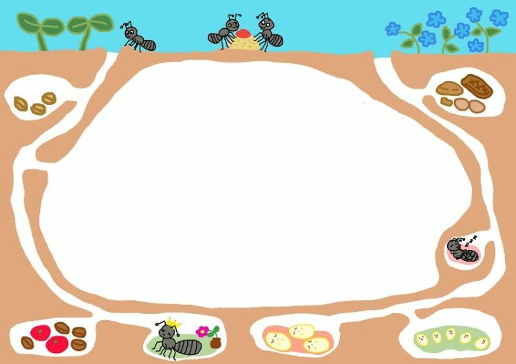 蟻は巣ごと駆除しないと意味がない？蟻の駆除を室内で行う方法とは？
