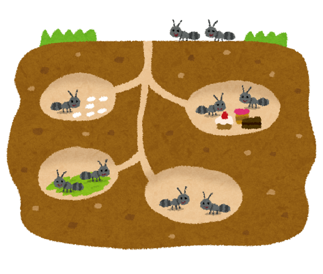 アリの巣穴は水であふれたりしないの？