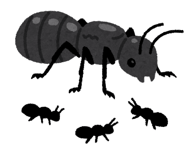 巣にいる蟻はほとんどがメス！