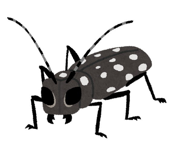 アブ以外でハチと間違えやすい虫とは