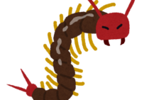 ムカデが家の中に！どうやって入ってきた？ムカデの侵入経路とは