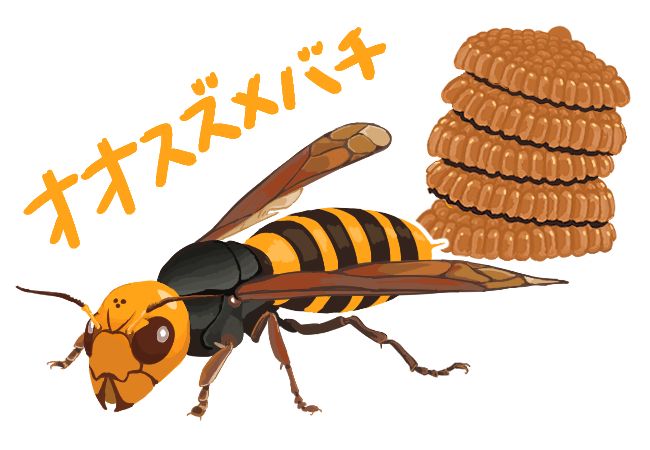 生態から見たスズメバチ対策