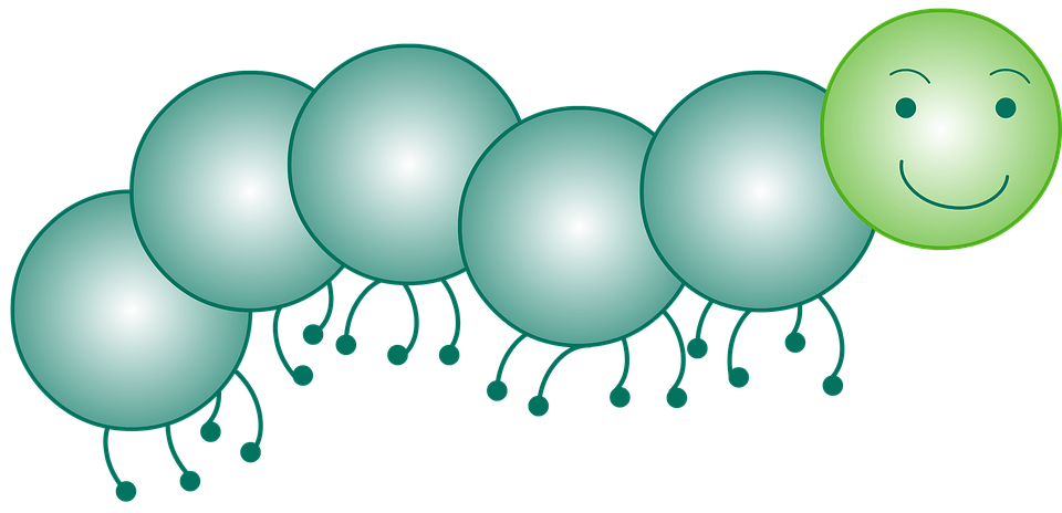 ムカデの侵入経路 