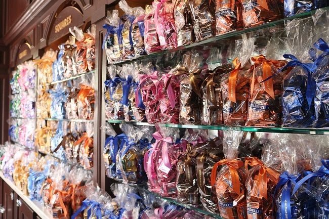 注意すべきメイガの仲間