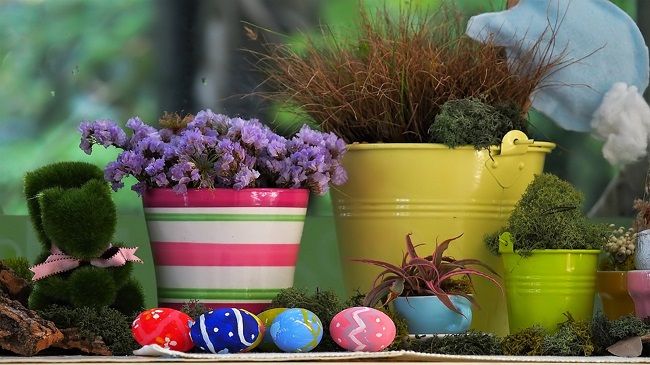 ムカデの住処はどこにある？