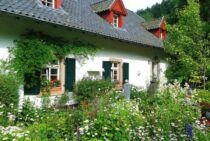 自宅への侵入を防げる？！「蟻の嫌いなもの」で蟻の撃退をしよう