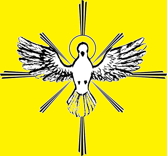 平和の象徴とはいうけれど…鳩は集団で行動します