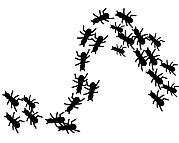 蟻の生態・習性