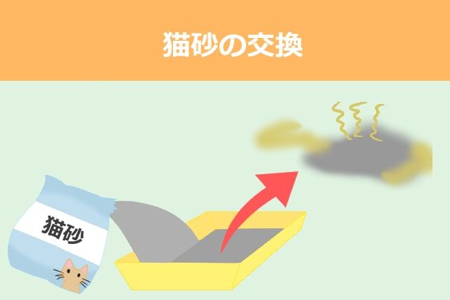 猫砂の交換