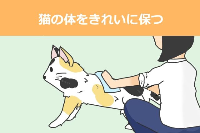 ねこの体をきれいに保つ