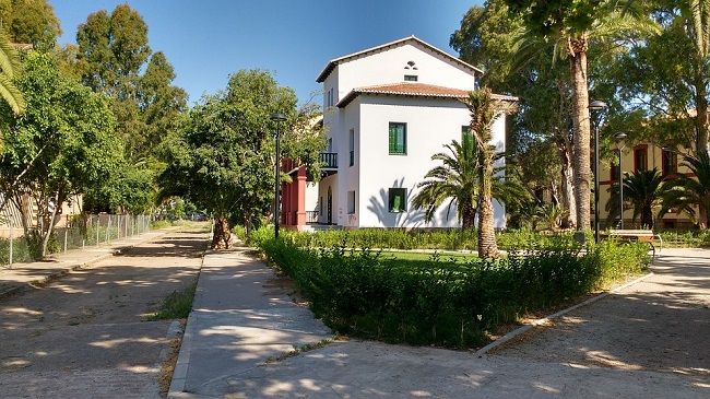 アメイロケアリもアリ！アリを駆除する方法