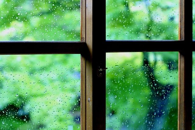 ヤスデよけ対策で効果があるもの