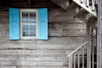 中古住宅でシロアリ発生は当たり前？中古住宅購入前に3つのチェック