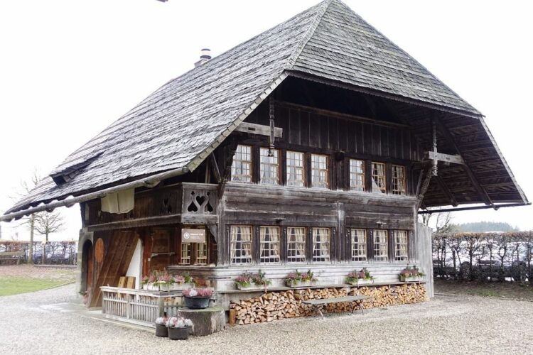 .中古住宅を購入前にチェック➀-シロアリの有無について