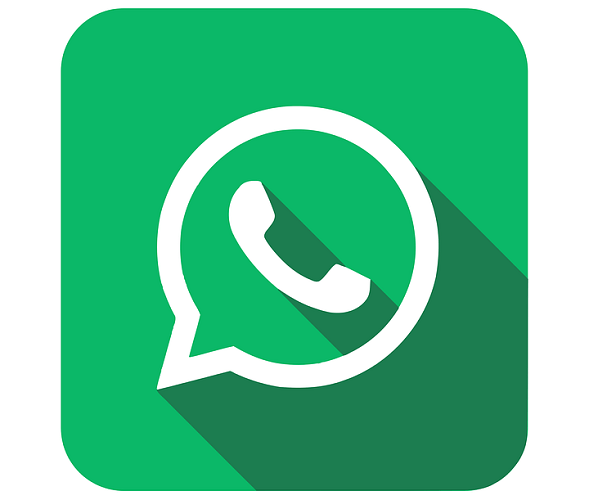 スズメバチの駆除は業者に依頼！業者の選び方と注意点