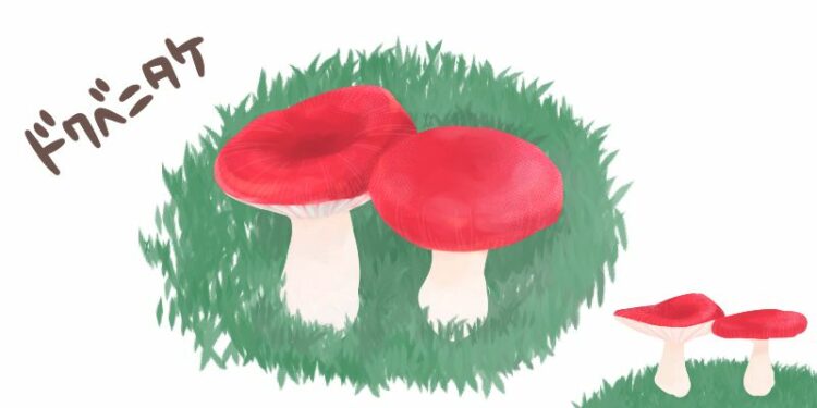 芝生に生えるキノコの種類