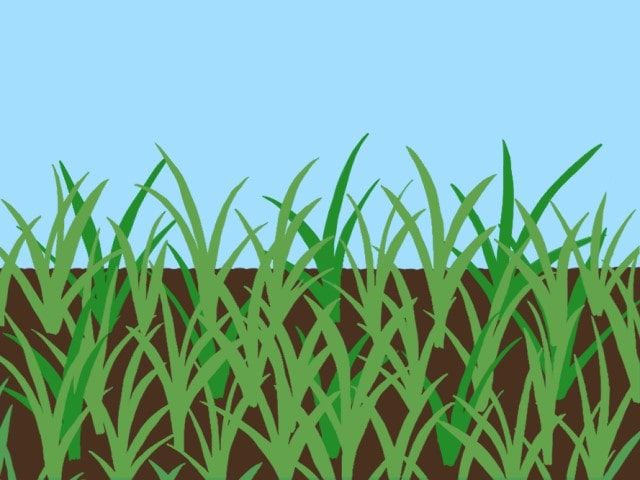 雑草抜き