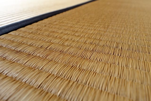 使用年数以外で畳の寿命を判断するポイント