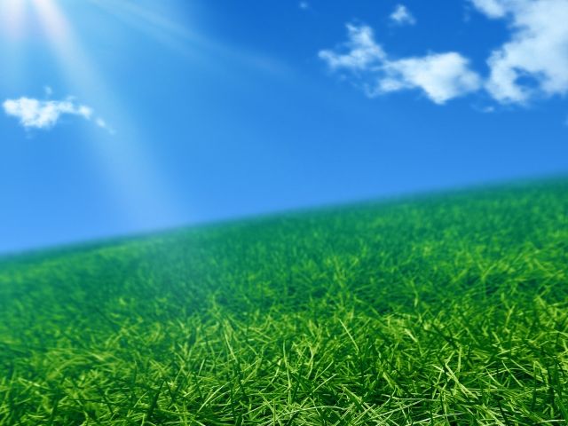 芝生は日陰でも育てられるのか