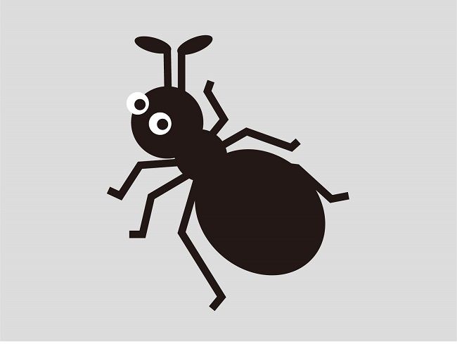 ヒメアリの生態や特徴について