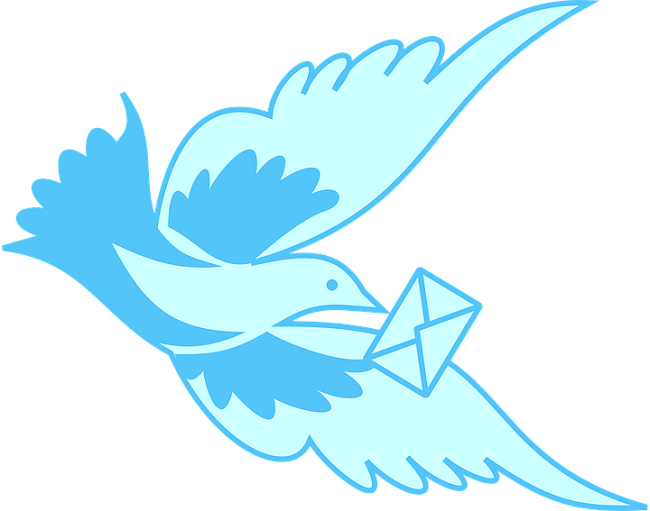 あなどれない鳩の帰巣本能！昔から利用されてきたけど思わぬ弊害も…