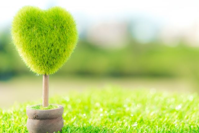 芝生の整地をしないと大変なことに!整地の重要性と方法を紹介します