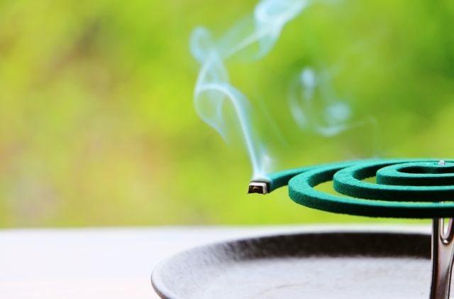 コウモリを寄せ付けない方法③：虫の対策をしておく