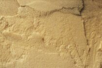 基礎断熱はシロアリ被害を受けやすい？危険性を把握して適切な対策を