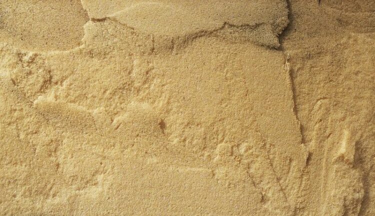 基礎断熱はシロアリ被害を受けやすい？危険性を把握して適切な対策を